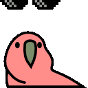 :parrot_dealwithit@.: