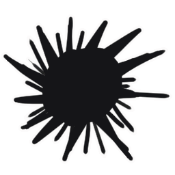 :uni_cabbage@.: