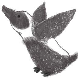 :penguin_k1: