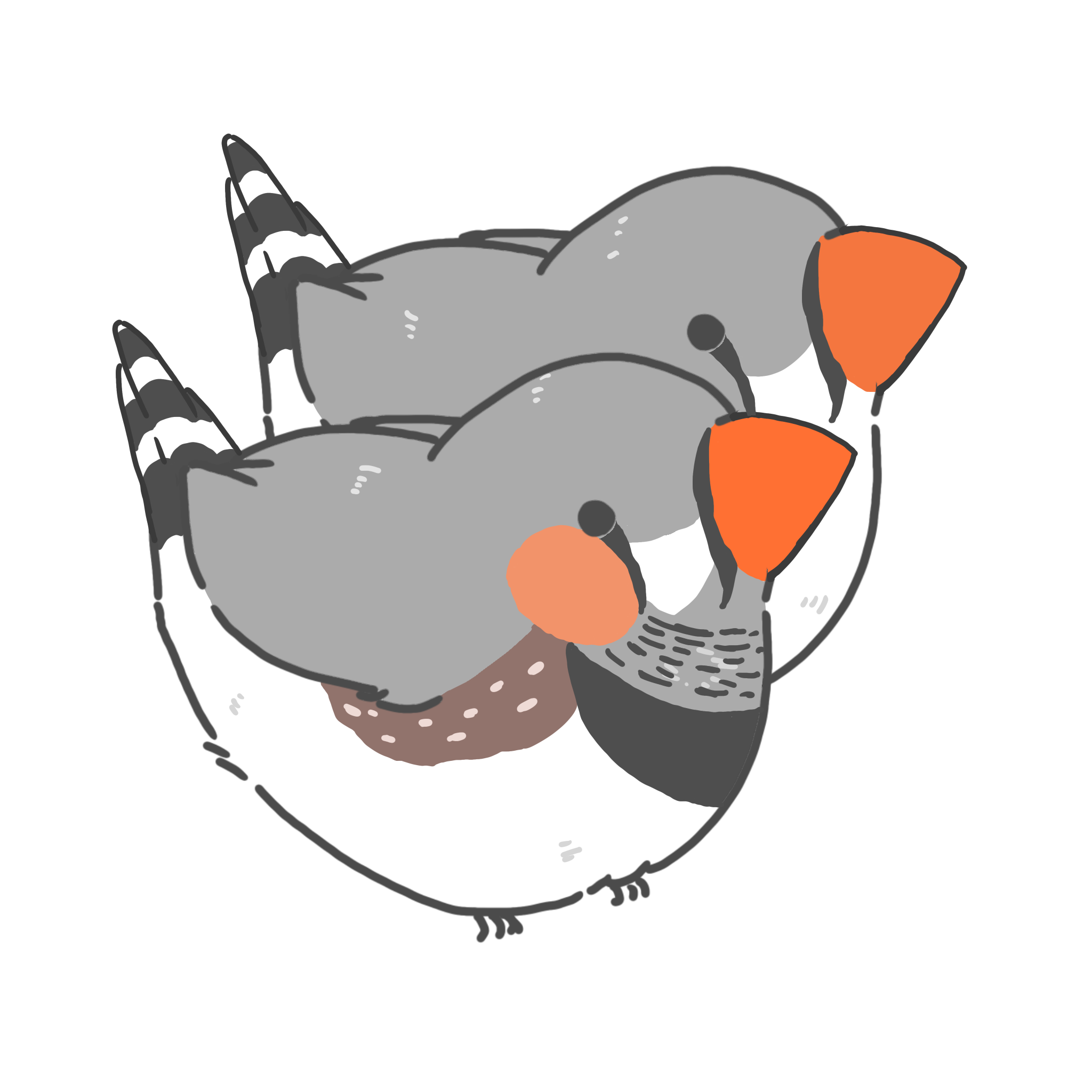:moffuri_kinkacho: