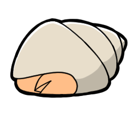 :shell: