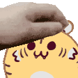 :tay_tr_nd: