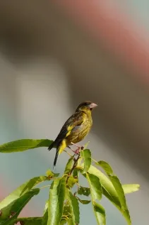 260807_EOSR1_03.webp