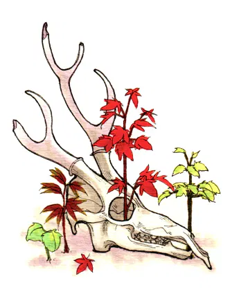 ink20251005.png.webp