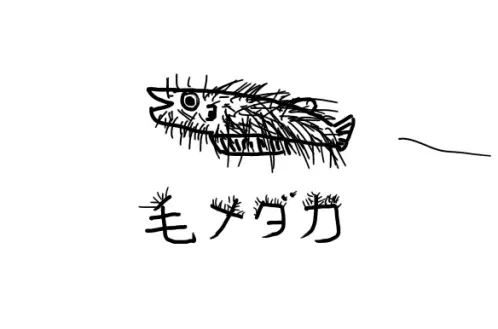 無題161_20251028115455.jpg.webp