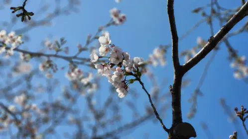 20260328_133605.jpg.webp