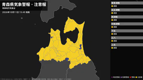 190c8d84087e757f.png