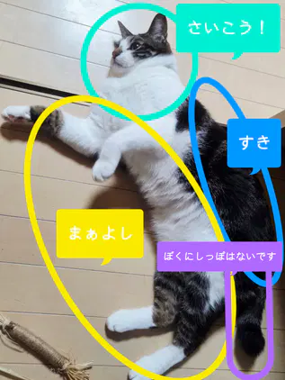 3d5c6b00a0909f34.jpg