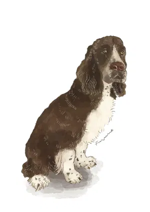 doggust6.jpeg-web.webp