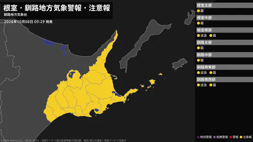 af5aff6256229d3f.png
