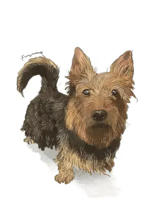 doggust5.jpeg-web.webp