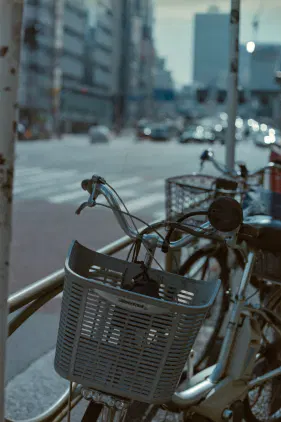 2025_08_02_新宿・小石川後楽園_YASHICA_Sapphire_70s (13).jpg.webp