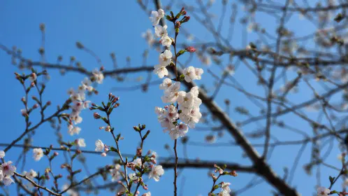 20260328_150039.jpg.webp