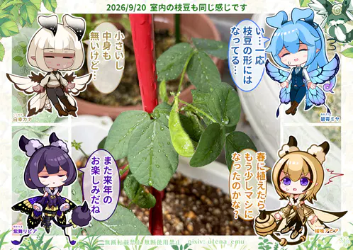 アピリピ家庭菜園日記.png