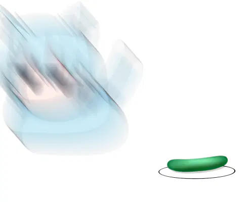 2025-mkammm-3.png.webp
