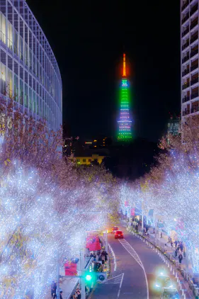 58929809-64db-49a2-926a-3660dc7ce6d4.jpg.webp
