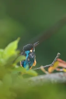 260910_EOSR1_09.webp
