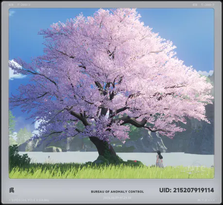 96178f35dd2c5754.webp
