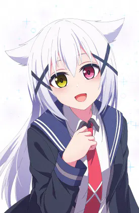 senacha_20260503.png.webp