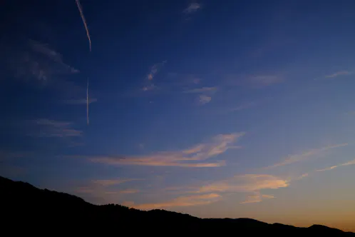 DSCF1659.jpeg.webp