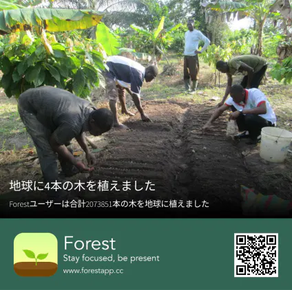 2eb1555d688aa3e2.webp