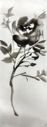 IMG_1835.jpeg.webp