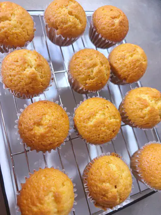 IMG_8287.jpeg