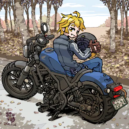2017rebel250.png.webp