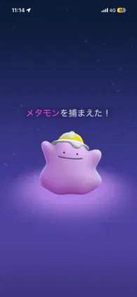 aa87f6155df67a17.png