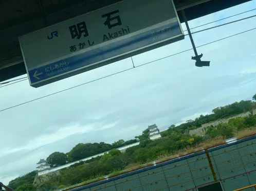 49840ac4b71382bf.jpeg