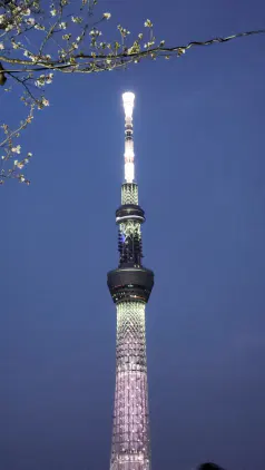 20260328_182132.jpg.webp