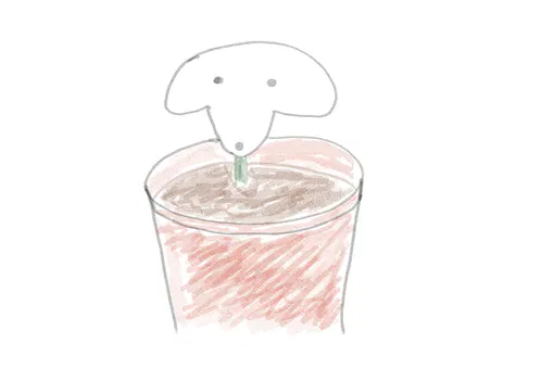 植木ゾイ.png