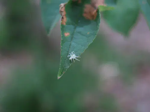 aaf8945f4cc12230.webp