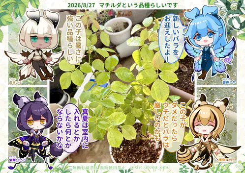 アピリピ家庭菜園日記.png