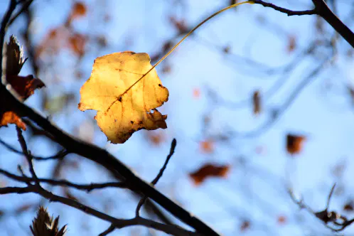 004＿11242025.jpg.webp