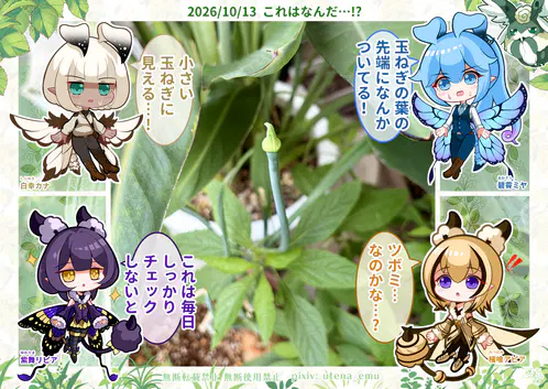 アピリピ家庭菜園日記.png