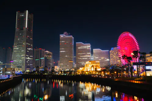 P1158184.jpeg.webp