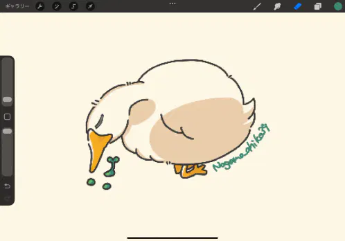 IMG_2159.png.jpg.webp