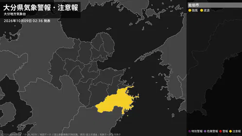 ebdaf09070852ffe.png