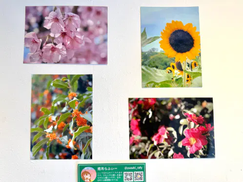写真部展2026展示作品.jpeg.webp
