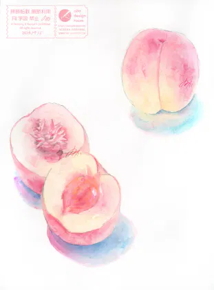 【web用】20260905_もも_スケッチ_1200px.png.webp