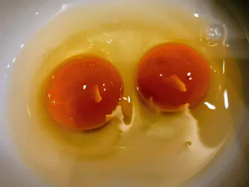 29f212f566256d8c.webp