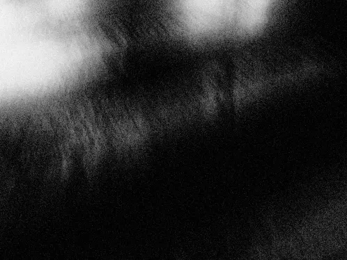 IMG_9563+K17.jpeg.webp