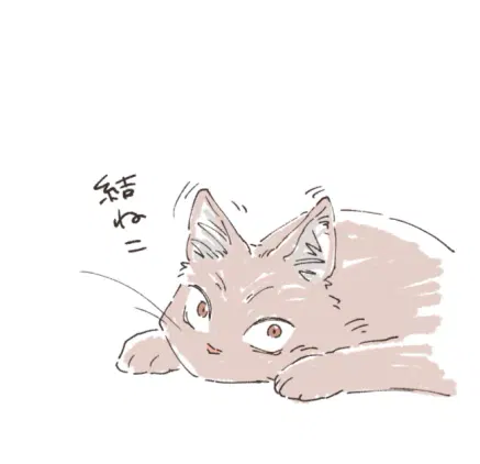 aqm6z6jkzv.png.webp