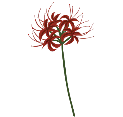 彼岸花-.png.apng