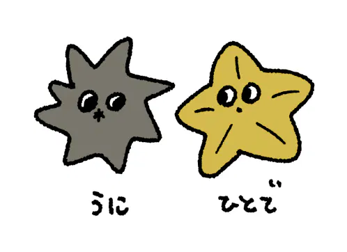 2026-09-21 18-08-21 1.png.webp