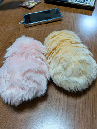 PXL_20260925_123453517.jpg.webp