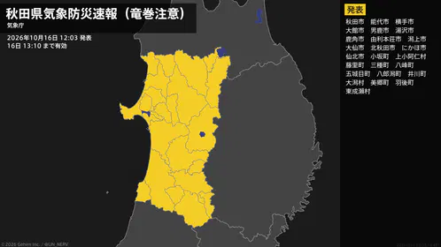 dde0c809b4254feb.png