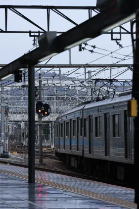 IMG_8369.jpeg.webp