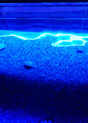 20261010_182305.JPG.webp